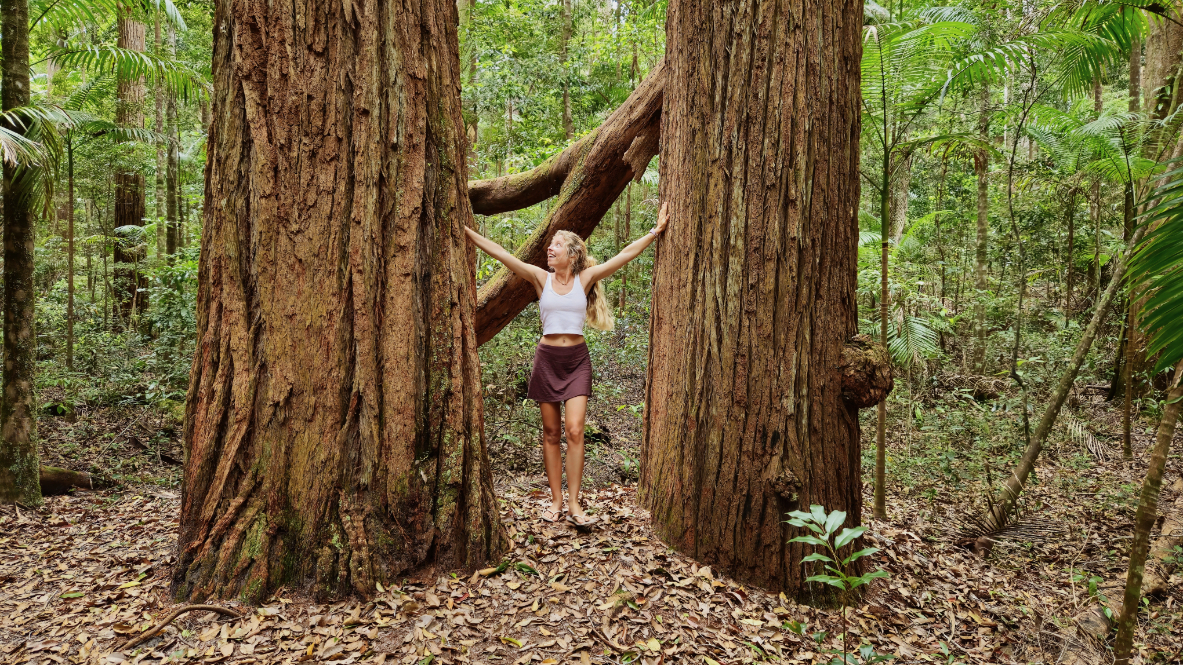 K'Gari Day Tour - Noosa to Noosa 