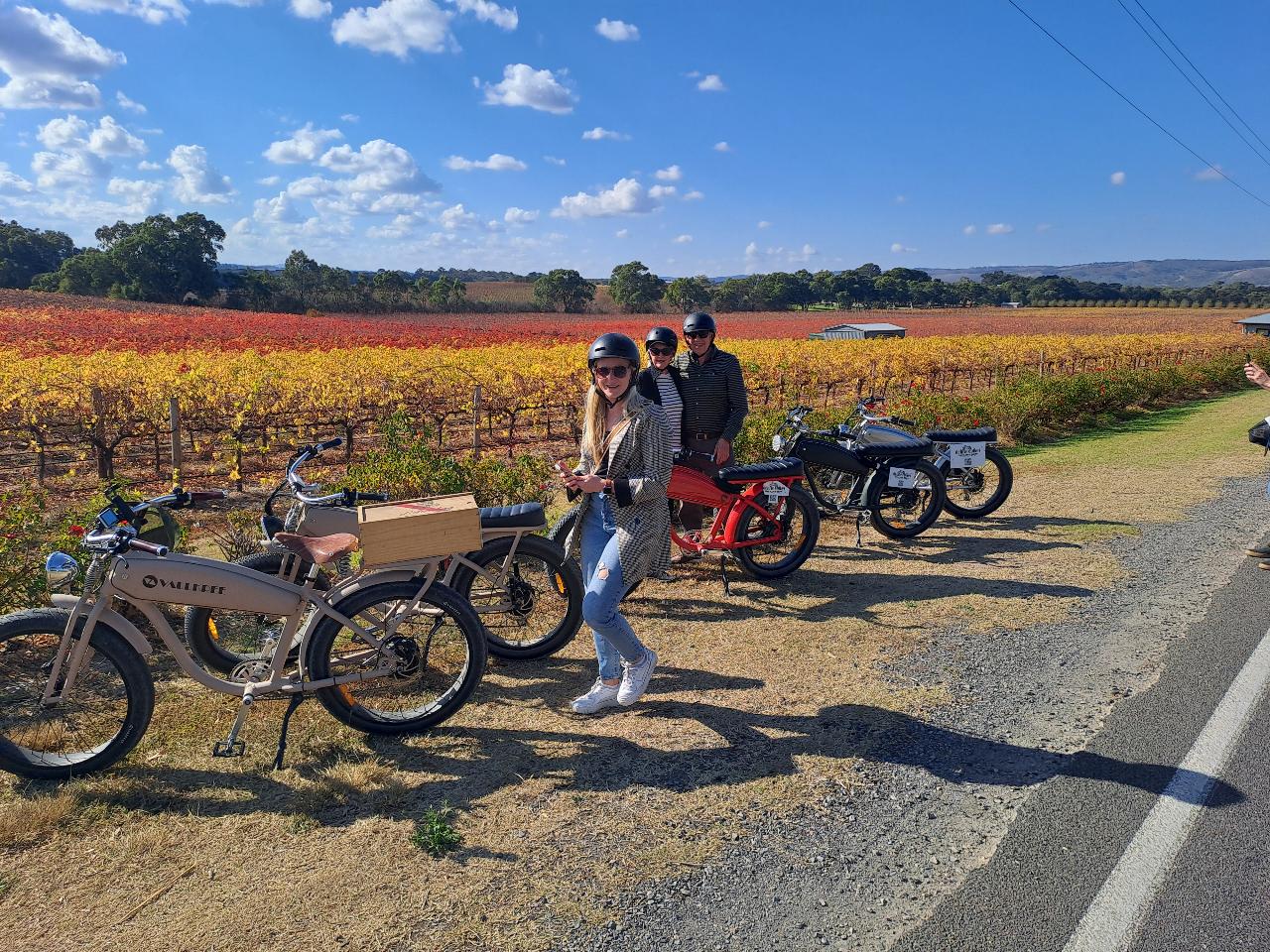 Gather Round Mclaren Vale Ebike Tour