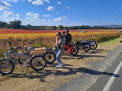 Gather Round Mclaren Vale Ebike Tour