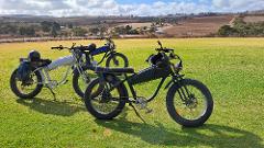 4 DAY CLARE RIESLING AND RACES TOUR