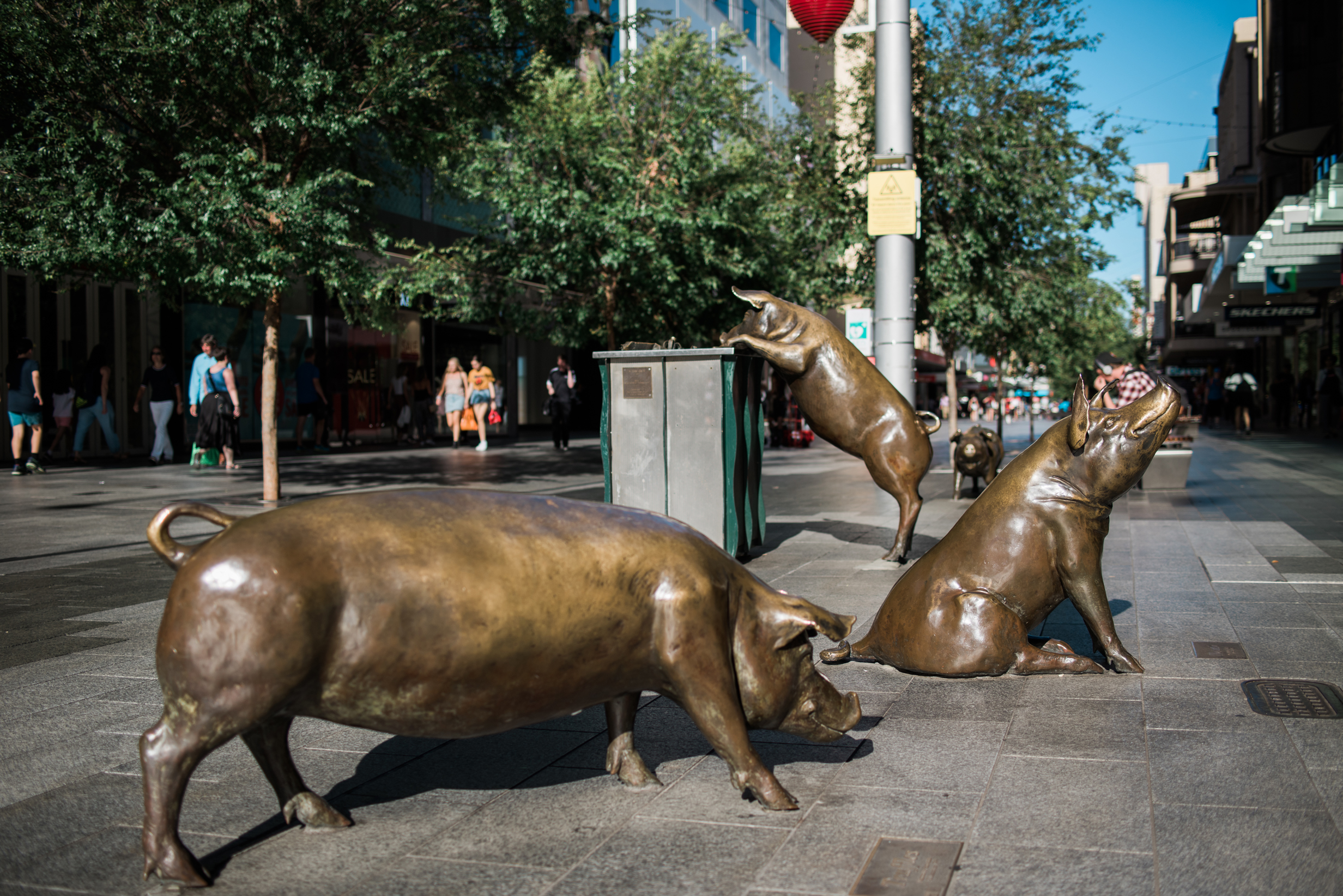 Adelaide Day Tour: Parliament House, Adelaide Town Hall and Adelaide Central Market | Small Group