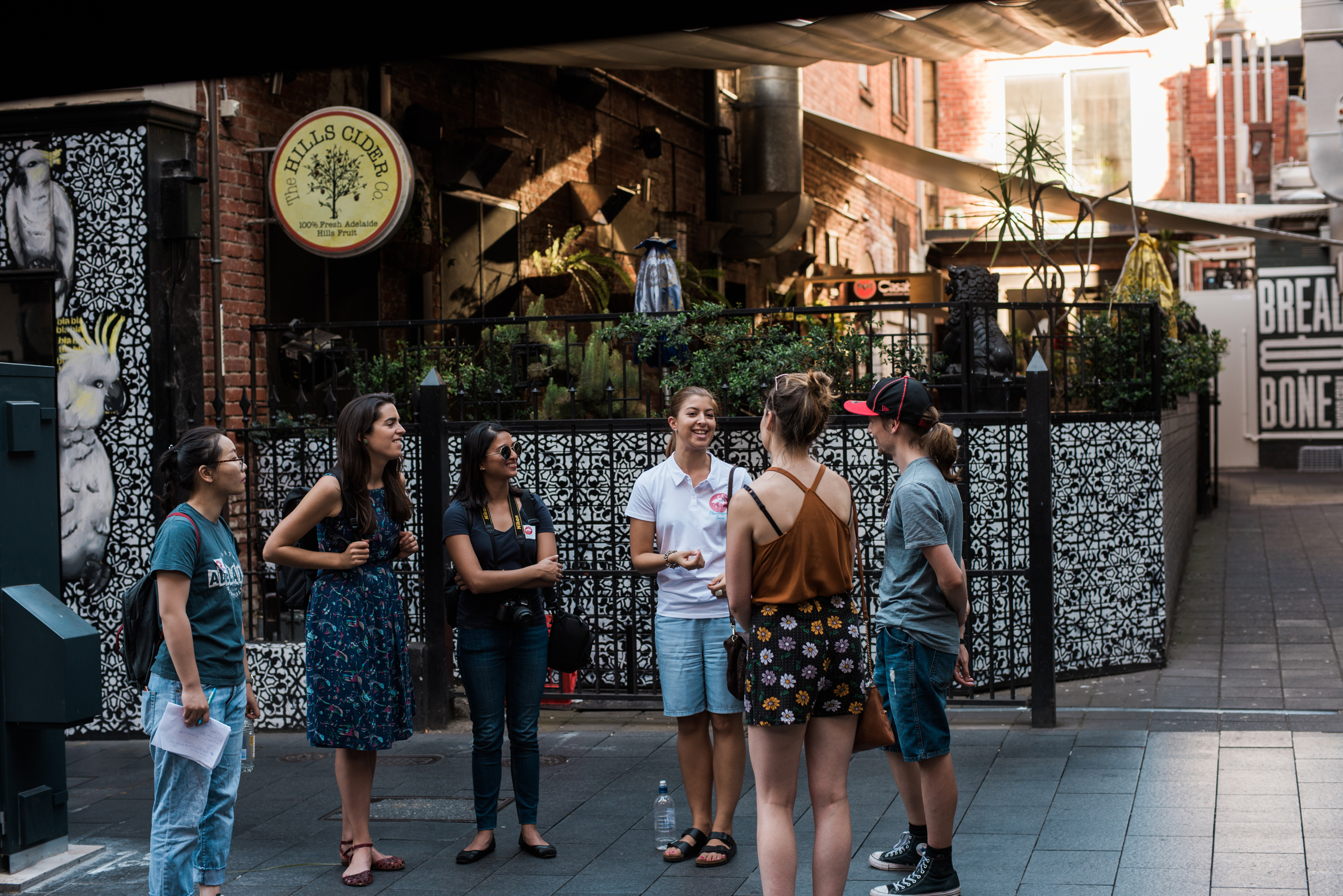 Intimate Walk Private Tour in Adelaide: the North Terrace, Riverbank Precincts, Mortlock Wing and Rundle Mall | Small Group of Maximum 6