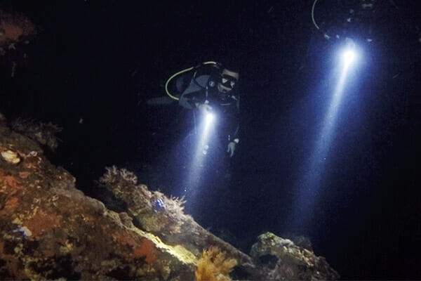 FV Lena Dive Wreck - Single Night Dive