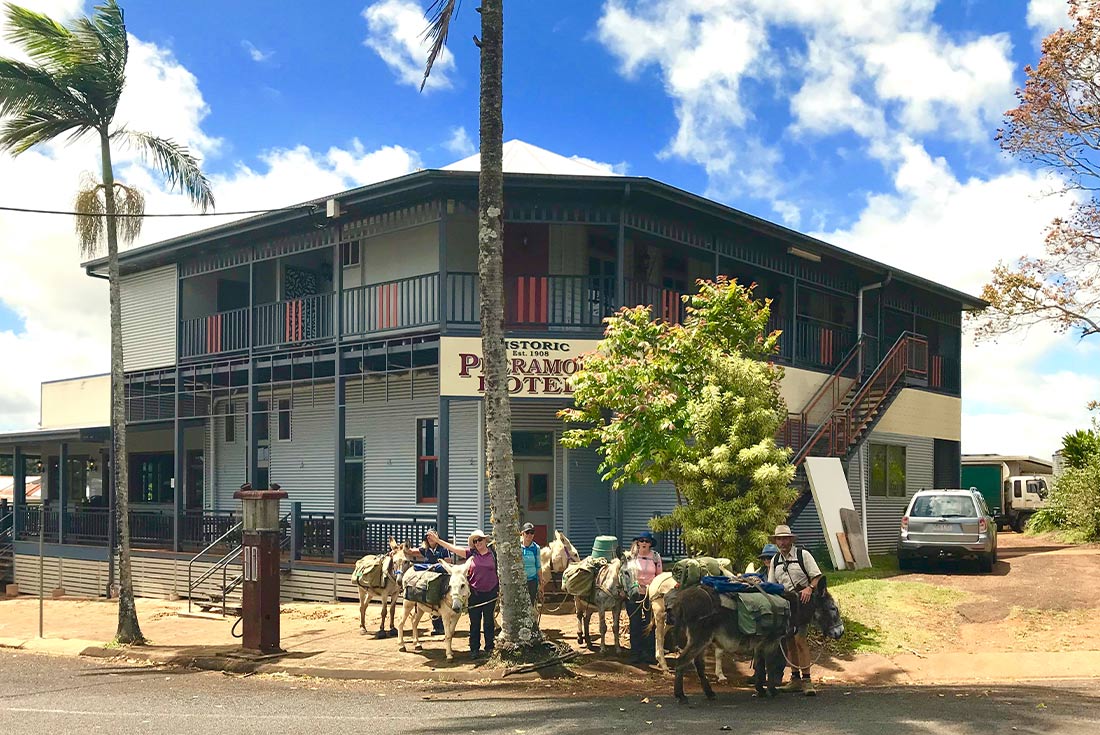 5-Day Walk Queensland’s Atherton Tablelands with Donkeys Tour from Cairns | Small Group Tour