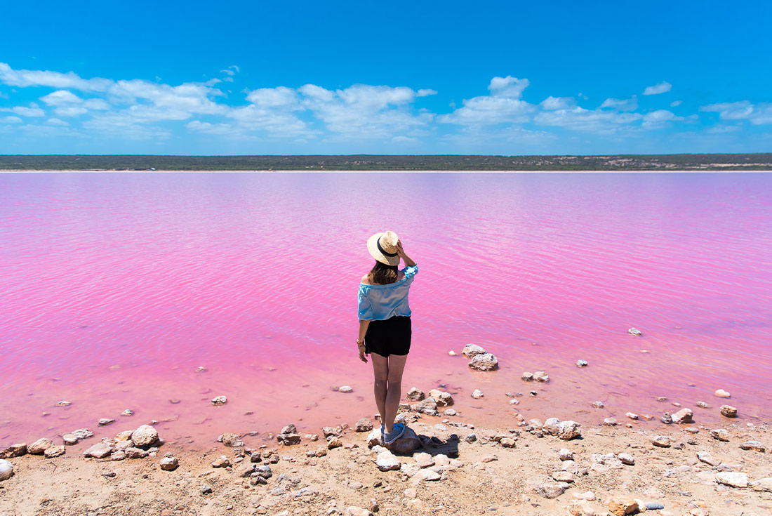 【Northbound】7-Day West Coast & Ningaloo Reef Adventure Tour from Perth: Geraldton, Northampton, Shark Bay, Monkey Mia, Coral Bay, Exmouth, Nambung National Park and Kalbarri National Park | Small Group Tour