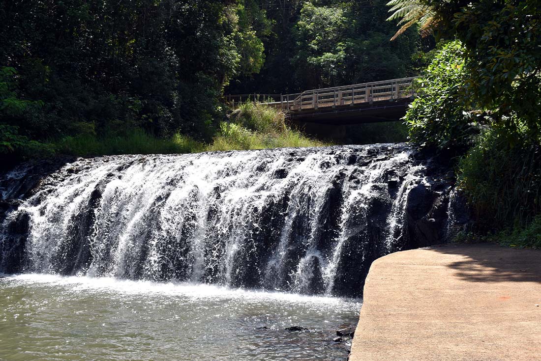 5-Day Walk Queensland’s Atherton Tablelands with Donkeys Tour from Cairns | Small Group Tour