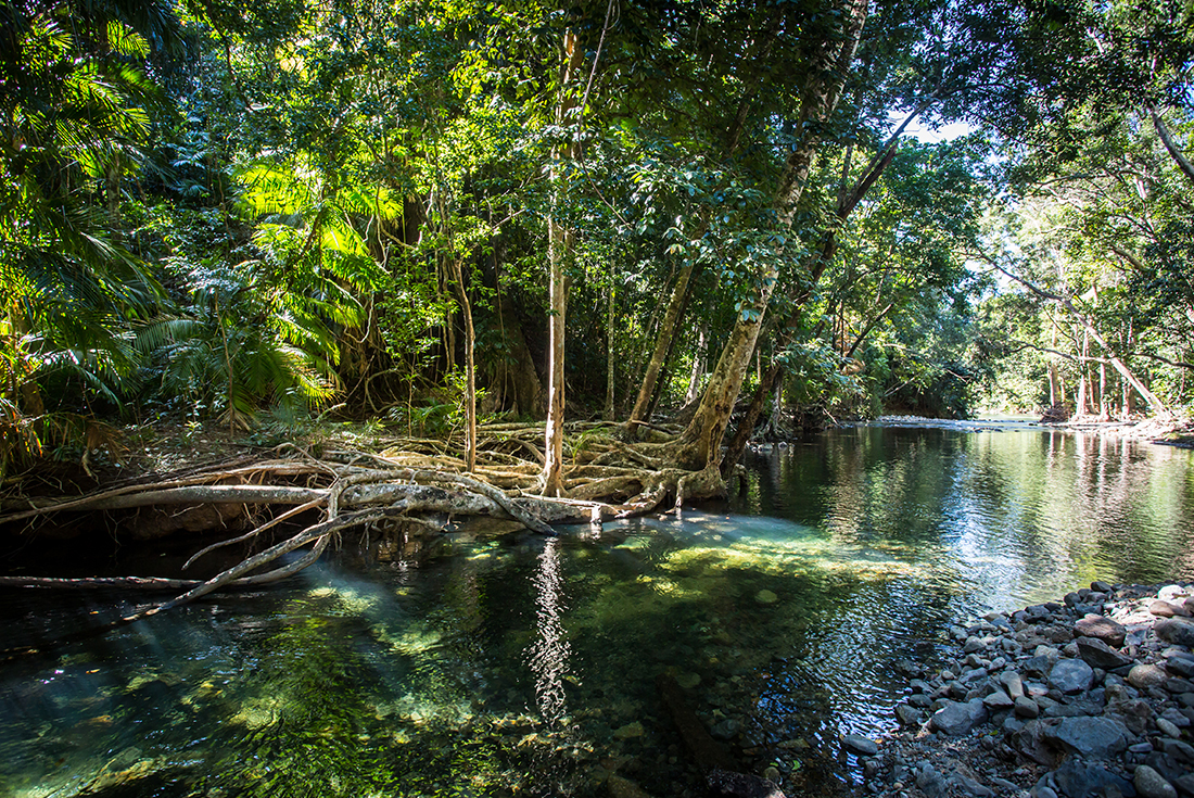 12-Day Brisbane to the Daintree Discovery Tour: Rainbow Beach, Fraser Island, Airlie Beach, Whitsunday Islands, Mission Beach, Great Barrier Reef, Cairns and Port Douglas | Small Group Tour