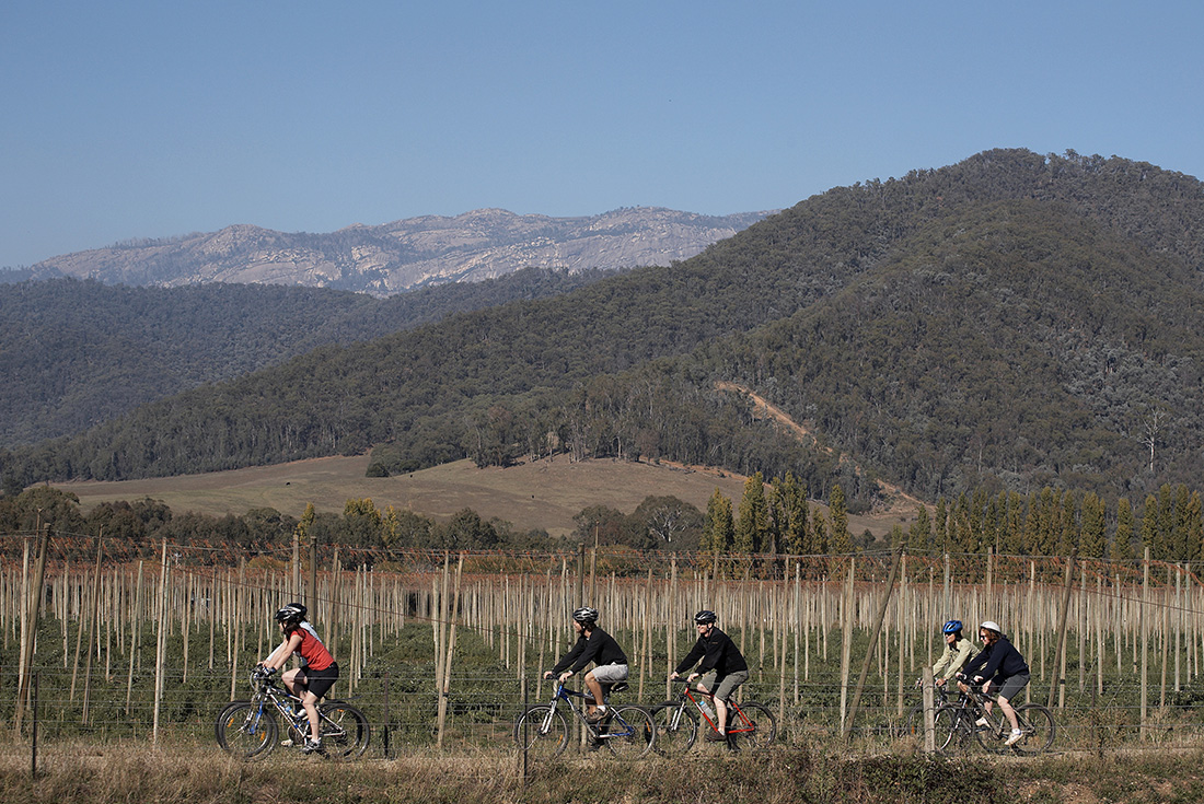 4-Day Cycle the Murray to Mountains Rail Trail Tour: Beechworth to Bright | Small Group Tour