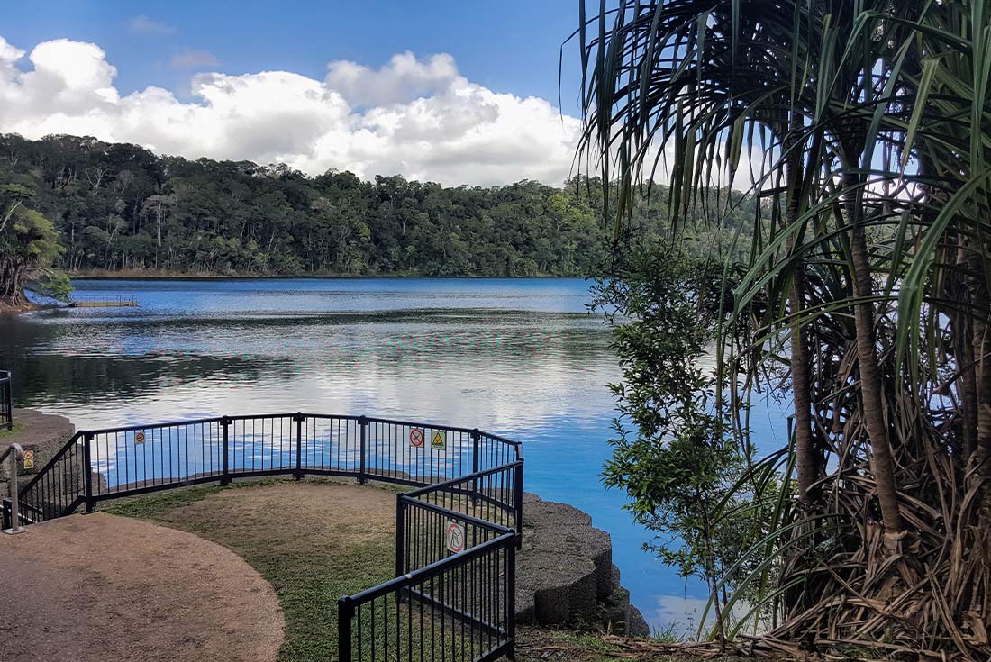 5-Day Walk Queensland’s Atherton Tablelands with Donkeys Tour from Cairns | Small Group Tour