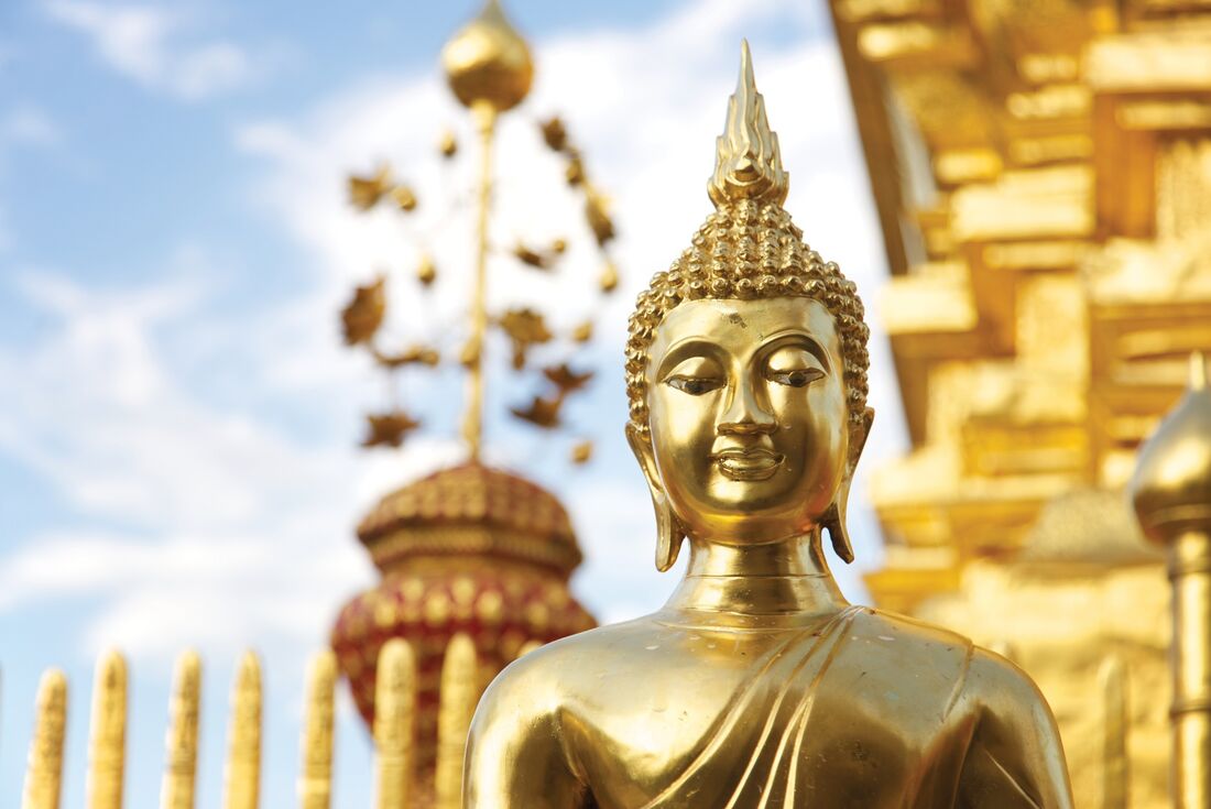 8-Day Thailand Real Food Adventure Tour from Bangkok: Ayutthaya and Chiang Mai | Small Group Tour