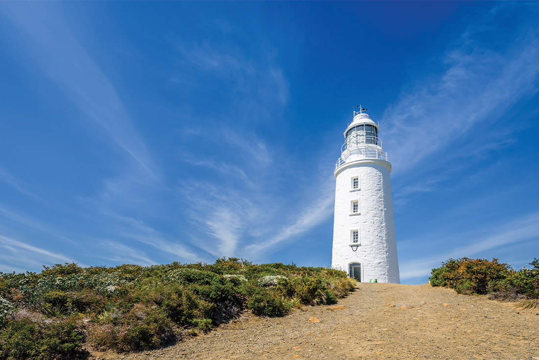 6-Day Walk Bruny Island & the Tasmanian South Coast Tour from Hobart: Dover and Huon Valley | Small Group Tour