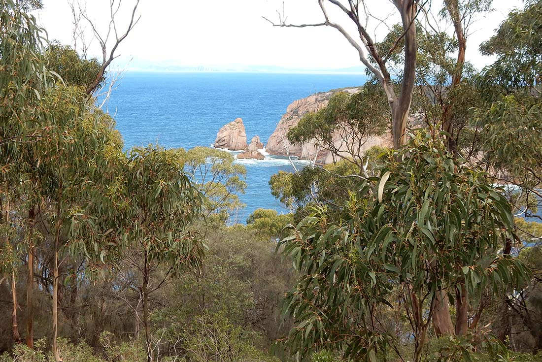 4-Day Hike Tasmania's Maria Island Tour from Hobart | Small Group Tour