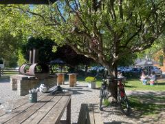 Bike the best of the Queenstown Trails - Regular bike hire and shuttle included