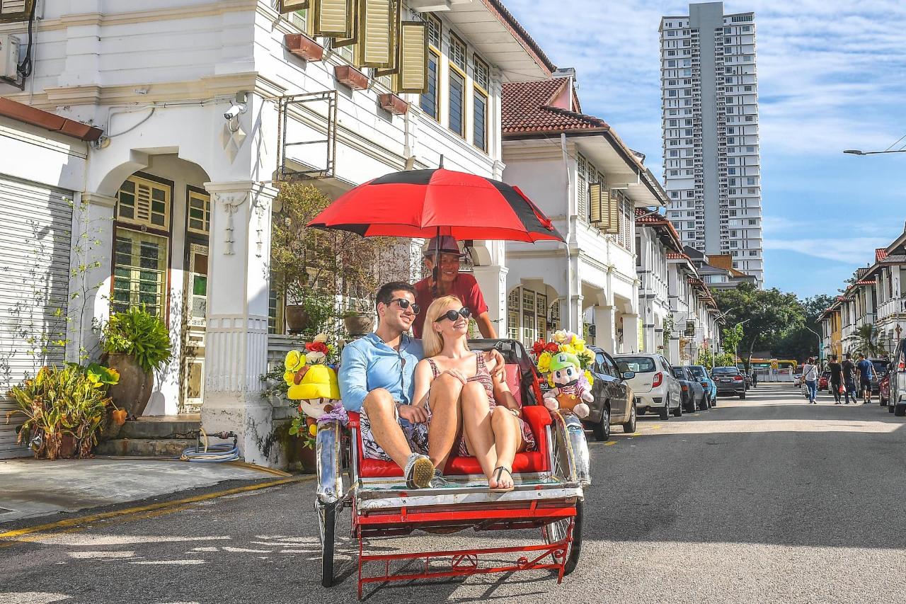 Penang: Hilltop Views, Temples & George Town by Trishaw