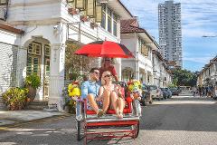 Penang: Hilltop Views, Temples & George Town by Trishaw