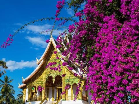 Luang Prabang: Temples, Royal Palace Museum and Phu Si Hill Walking Private Tour