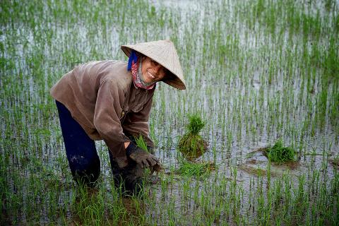 13_Hoi_An_Morning_Countryside_Tour_by_Bike