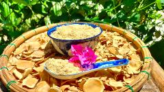 Hoi An: Organic Herbal Farm Guided Tour