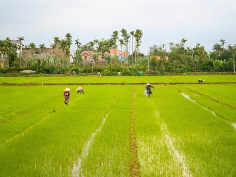 5_Hoi_An_Morning_Countryside_Tour_by_Bike