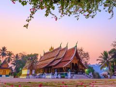 Luang Prabang: Temples, National Museum and Night Market Private Tour