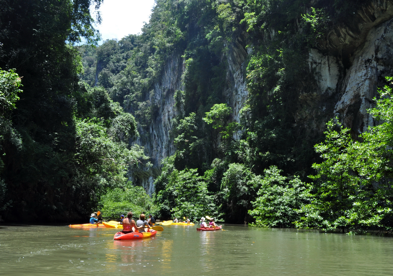 Phang Nga and James Bond Canoeing Tour by Speedboat from Phuket