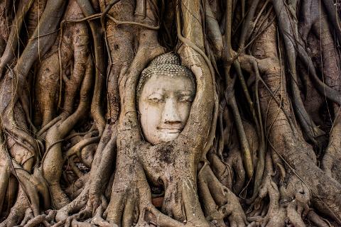 From Bangkok: Ayutthaya Temples and Boat Tour with Lunch