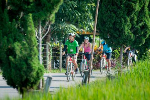  Chiang Mai Countryside by E-Bike Shared Tour