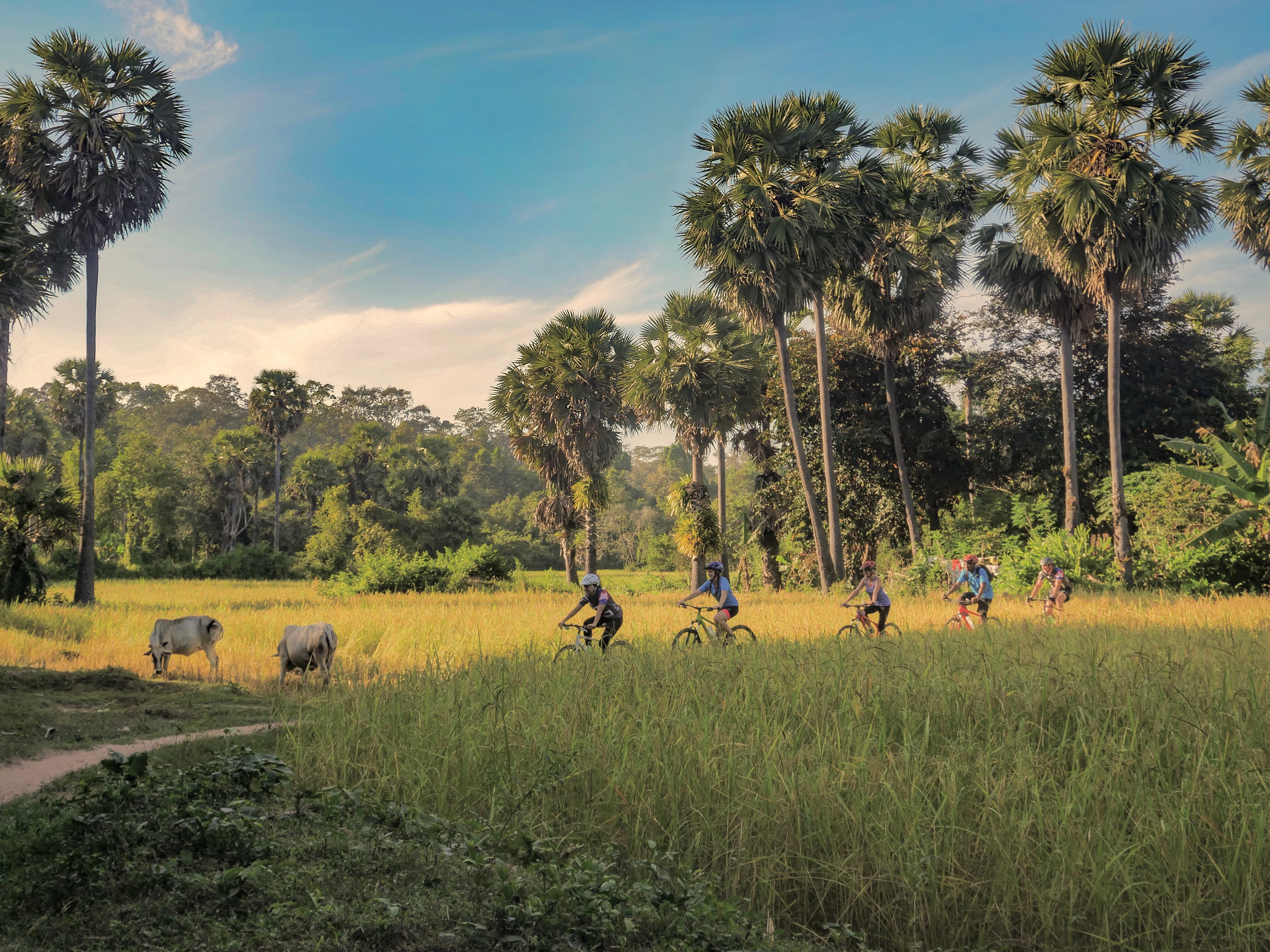 Discover the Countryside of Siem Reap by Bike