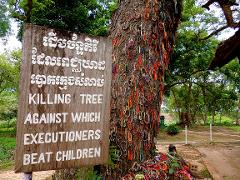 Phnom Penh: Half day Tour Tuol Sleng Genocide Museum and the Killing Fields 