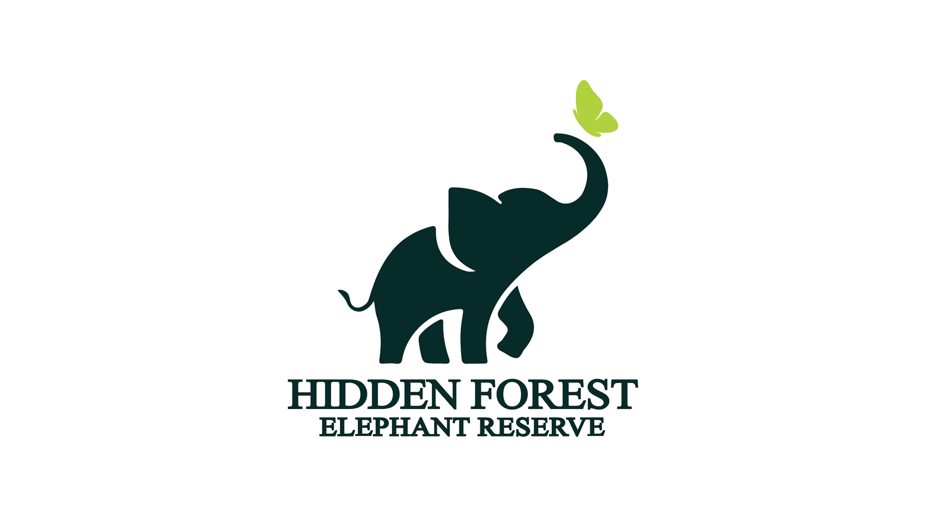 Phuket Hidden Forest Elephant Reserve Morning Tour with Lunch & Transfer