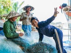 Hoi An Countryside Cycling Tour