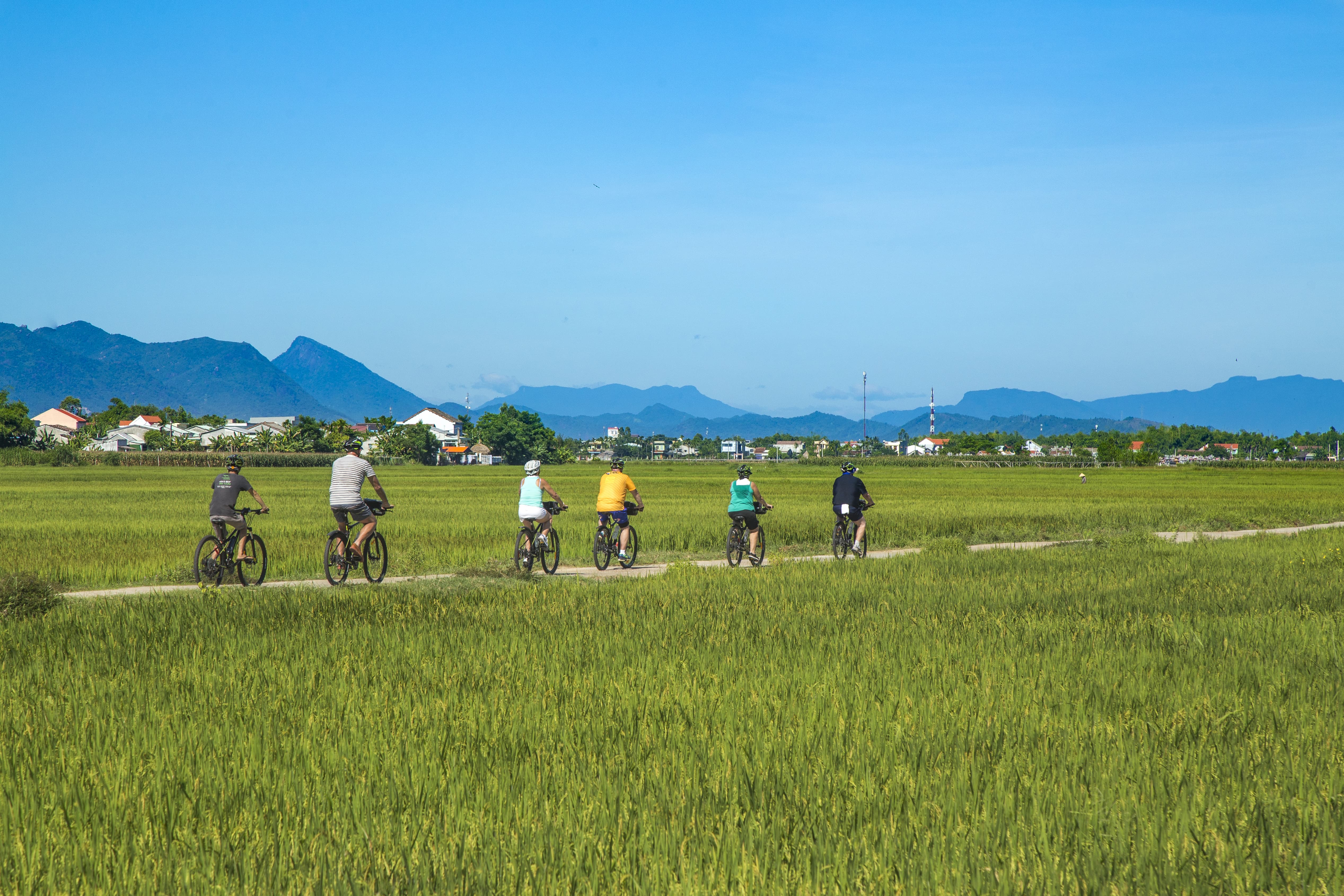 Hoi An My Son Holy Land Cycling Tour
