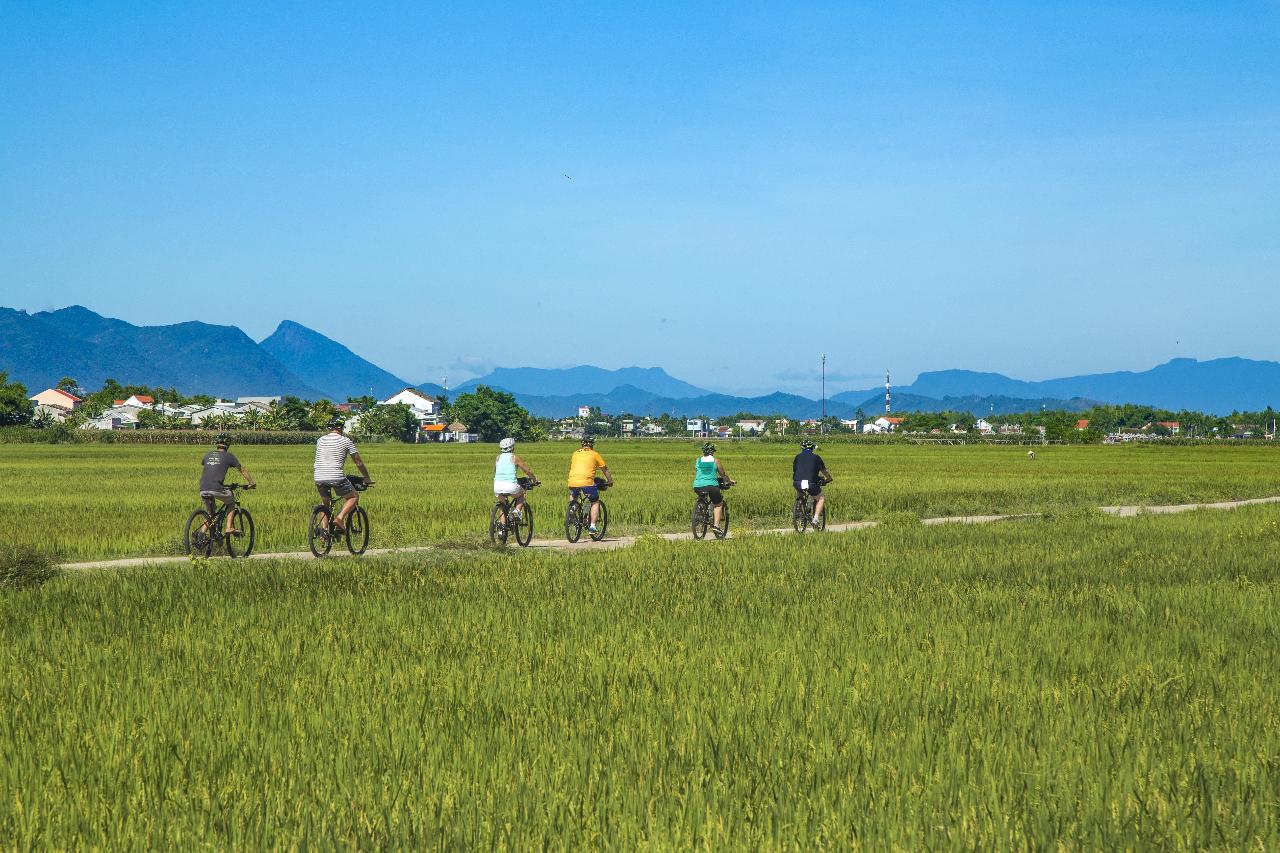 Hoi An Cycling to My Son Holy Land - Discova Day Tours and Activities