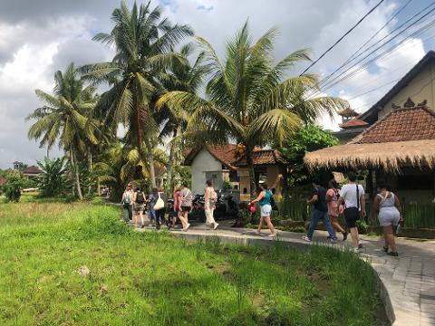 Bali: Ubud Countryside and Rice Felds Walking Tour