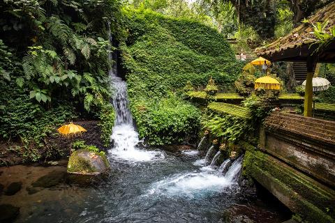 Indonesia___Bali____Spring_in_Pura_Goa_Gajah___stock