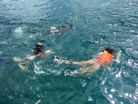 Koh_Tao_and_Koh_Nang_Yuan__4_