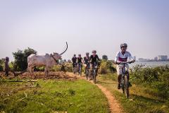 Private Mekong Islands: Rural Half-Day Bike Tour