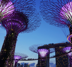 Singapore: Gardens and Satay by The Bay Private Guided Tour