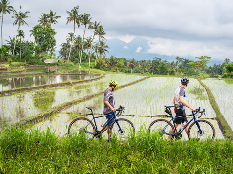Mountain to Beach : Bali e-Bike Tour inclusive Roundtrip Transfer from Ubud