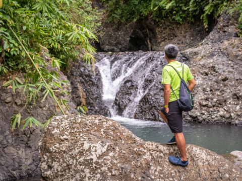 Waterfall Hike from Kaura Tour (no pickup/transfer included)