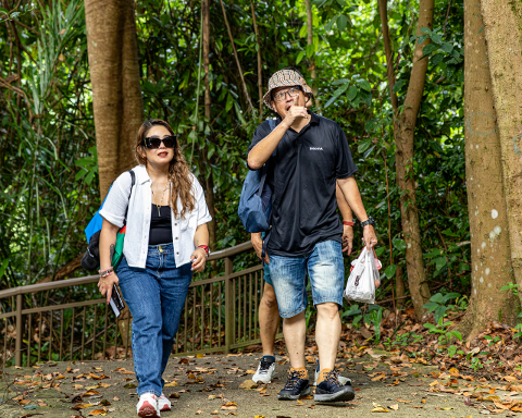 Singapore: Faber Peak Guided Walking Tour with Breakfast