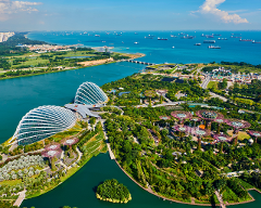 Singapore: Gardens by the Bay Feature Impression of Monet included Entry Ticket and Hotel Pick