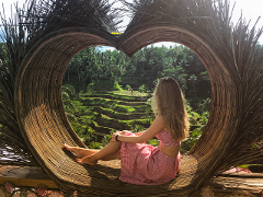 Bali: Swing Heaven, Monkey Forest and Waterfall Tour