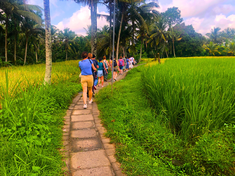 Bali: Ubud Countryside and Rice Felds Walking Tour