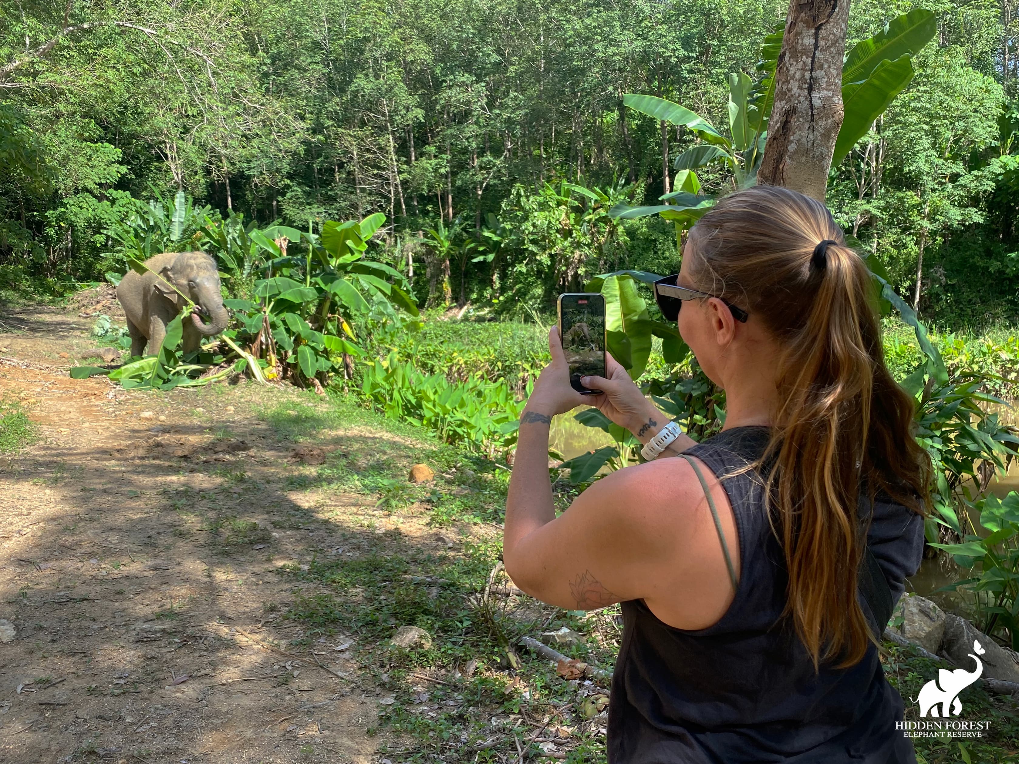 Phuket Hidden Forest Elephant Reserve Morning Tour with Lunch & Transfer