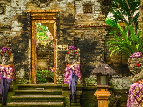 Ubud: Monkey Forest, Rice Terraces & Sacred Temples