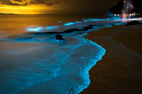 Bioluminescence & Sea Canoes in Phang Nga Bay by Speedboat Include Hotel Transfer 