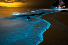 Bioluminescence & Sea Canoes in Phang Nga Bay by Speedboat Include Hotel Transfer 