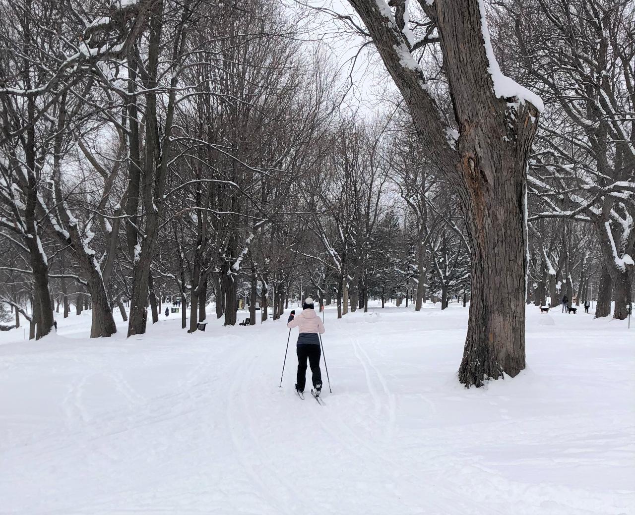 Location ensemble ski de fond/Cross-country ski kit rental at Parc La Fontaine