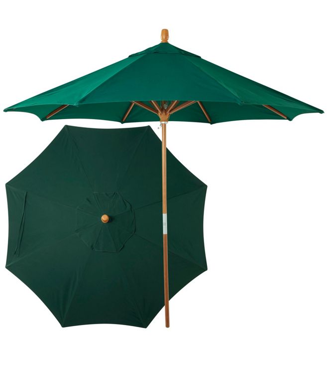 Umbrella